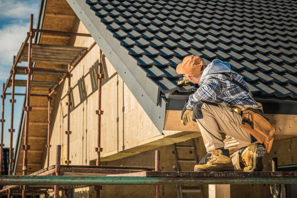 Best Roof Moss and Algae Removal  in Eastvale, CA